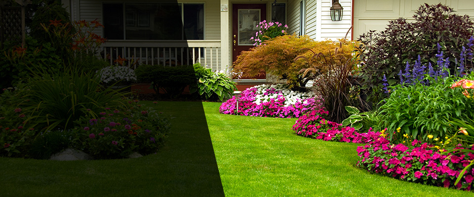 Bird Island Landscapers